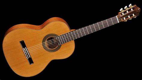 Advanced Guide for Electronic Guitars