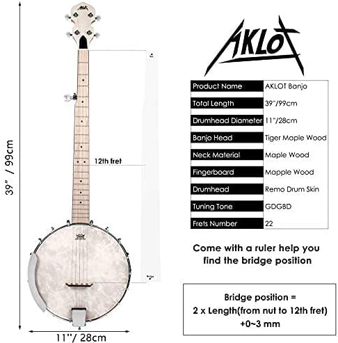 5 String Open Back Banjos