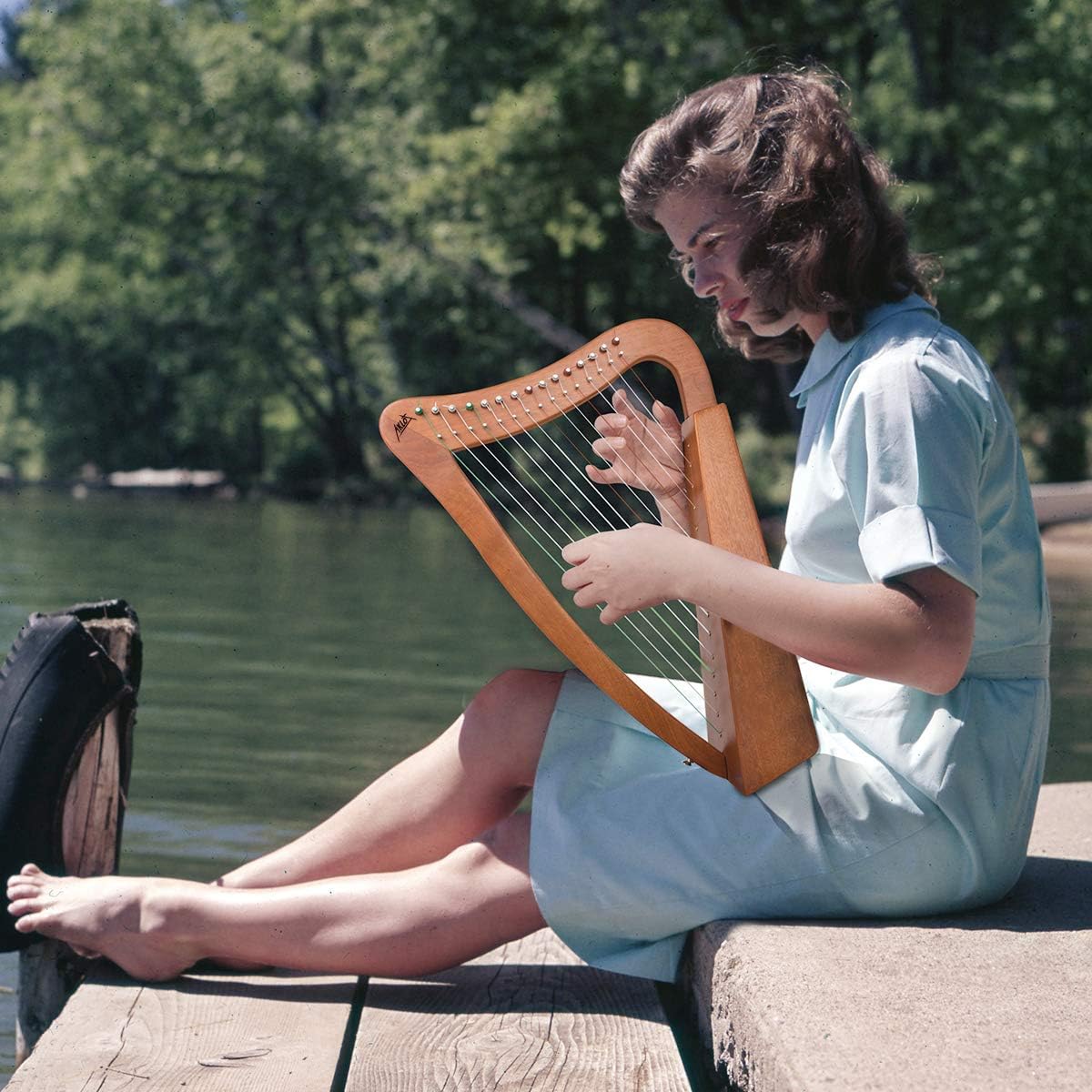 Harp 15 strings Mahogany