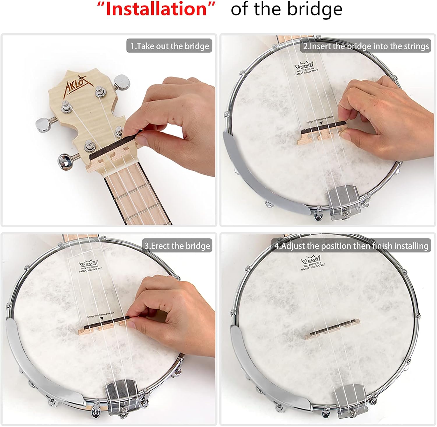 Banjo Ukulele