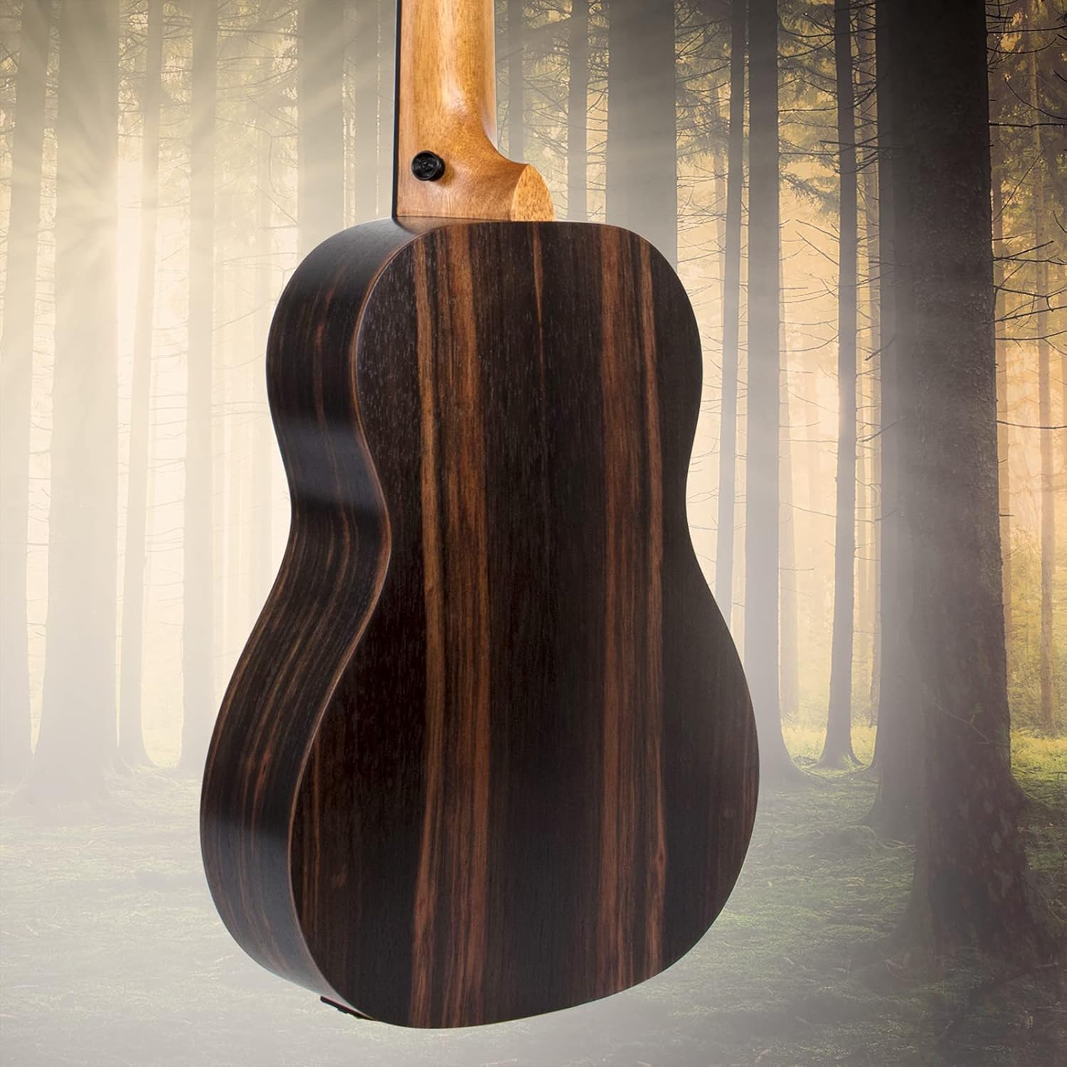 Ukulele Fretless Bass