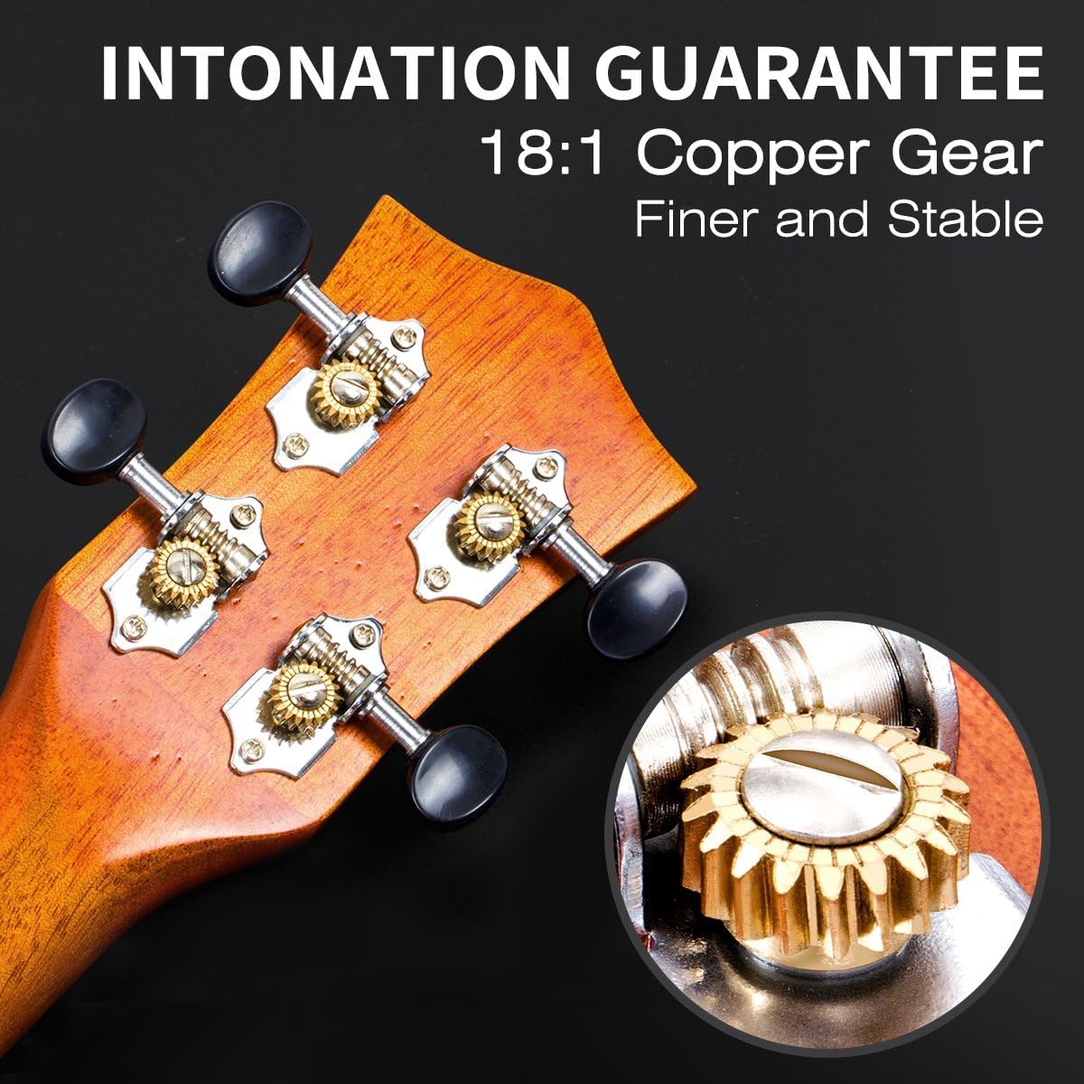 Ukulele Concert Size 23 Inch