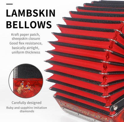 F/B/E Accordion