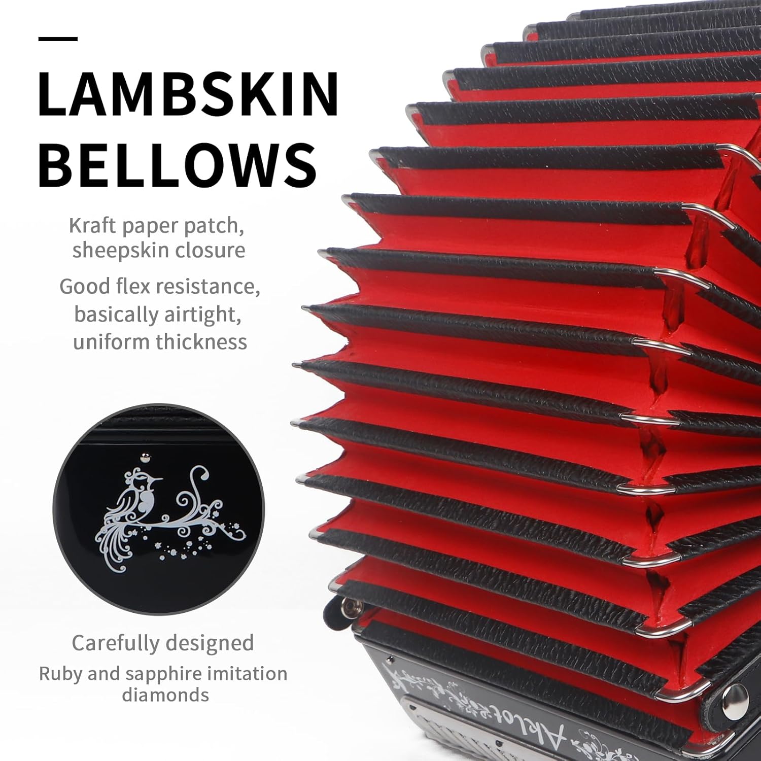F/B/E Accordion