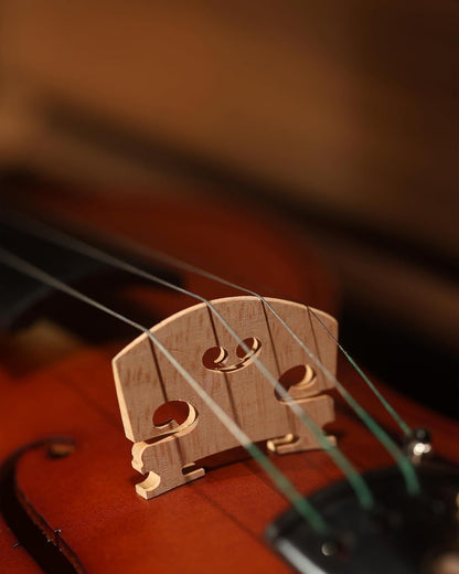 Hourglass - Glossy Brown